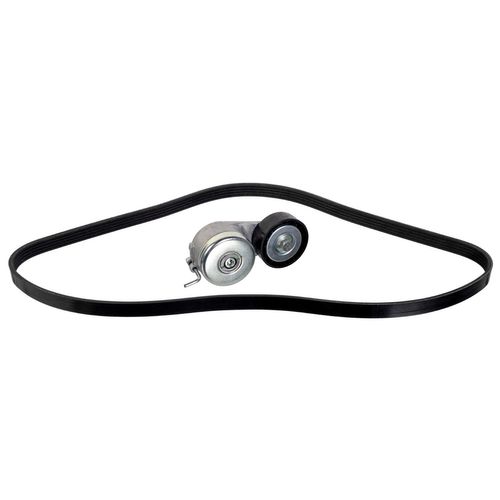 Productbeeld voor Poly V-riem set