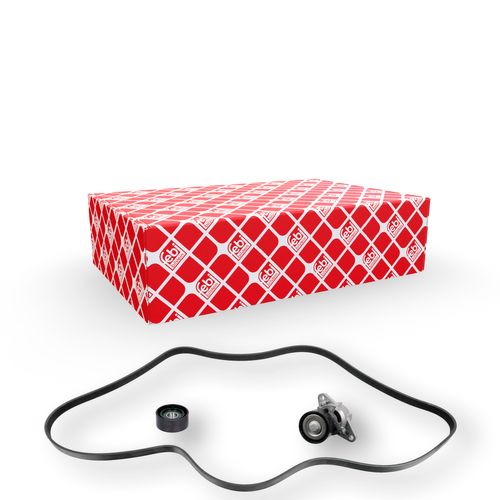 Productbeeld voor Poly V-riem set