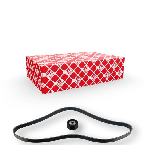 Productbeeld voor Poly V-riem set